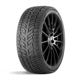 Doublestar Winterking DW08 215/60R16 95T